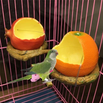 1 Adet Komik Meyve Şekli Kuş Papağan Besleyici Portakal Nar Gıda Su besleme kasesi Konteyner Besleyiciler Kasalar Kafesleri Coop Pet
