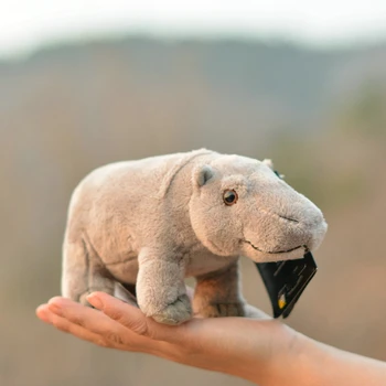 20cm Simülasyon Hayvan Yumuşak Hippo Dolması Peluş Oyuncak Bebek Çocuk Bebek Doğum günü Hediye Sevimli Canlı 