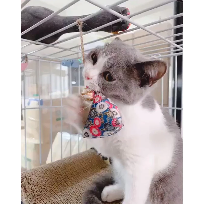 Kedi Catnip Oyuncak Asılı Japon Poşet Kedi Çiğnemek Catnip Kedi Çiğnemek İnteraktif Oyuncaklar Kediler için Yavru Kafes Evcil Hayvan Malzemeleri 0